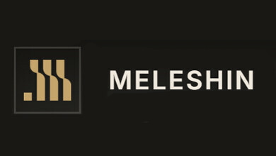 MELESHIN LTD